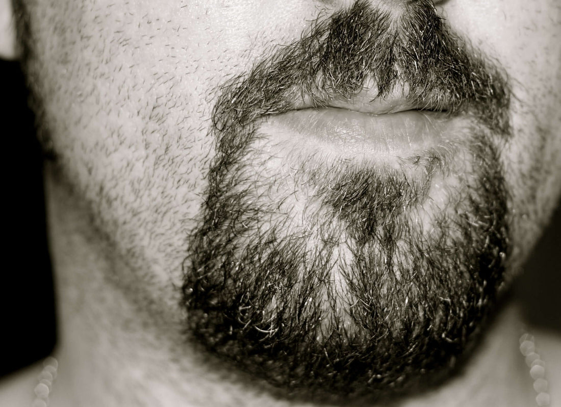 What Defines the Henriquatre Beard?